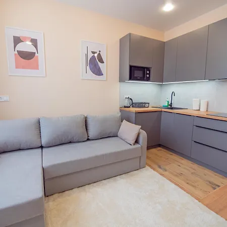 公寓 Smart House 利沃夫