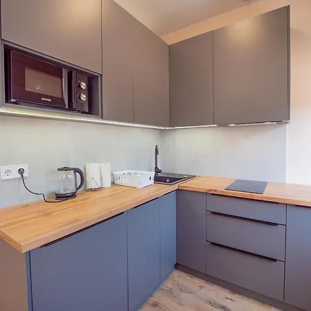 Smart House Apartman Lviv