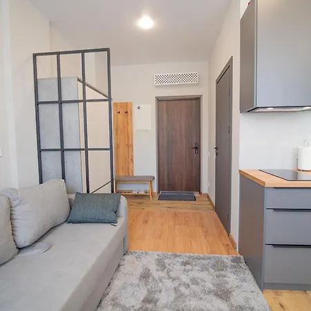 公寓 Smart House 利沃夫