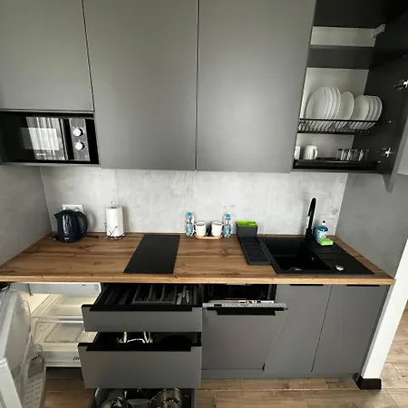 Smart House Apartment Lviv